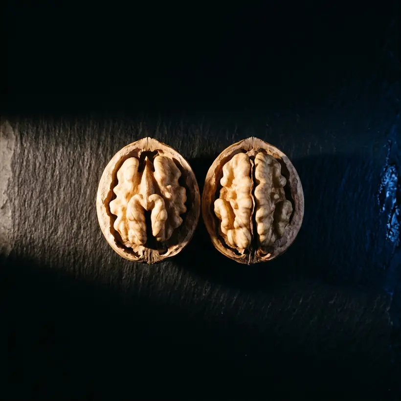 Nuez abierta en sus dos mitades simétricas sobre pizarra oscura, imagen de la integración de hemisferios cerebrales con la que abre cada clase en WorldBrain México