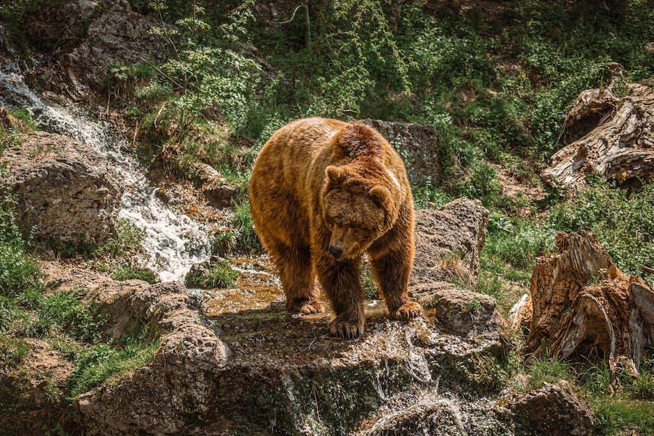 lectoescritura: método avanzado para niños, fomenta creatividad, confianza y amor por aprender. resultados rápidos en lectura y escritura, enfoque integral en desarrollo infantil. 1 ultravelozmente lectoescritura: método avanzado para niños, fomenta creatividad, confianza y amor por aprender. resultados rápidos en lectura y escritura, enfoque integral en desarrollo infantil.