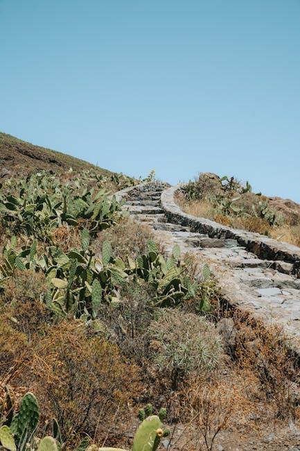 Guía práctica para obtener y limpiar transcripciones automáticas que mejoran la calidad del contenido escrito