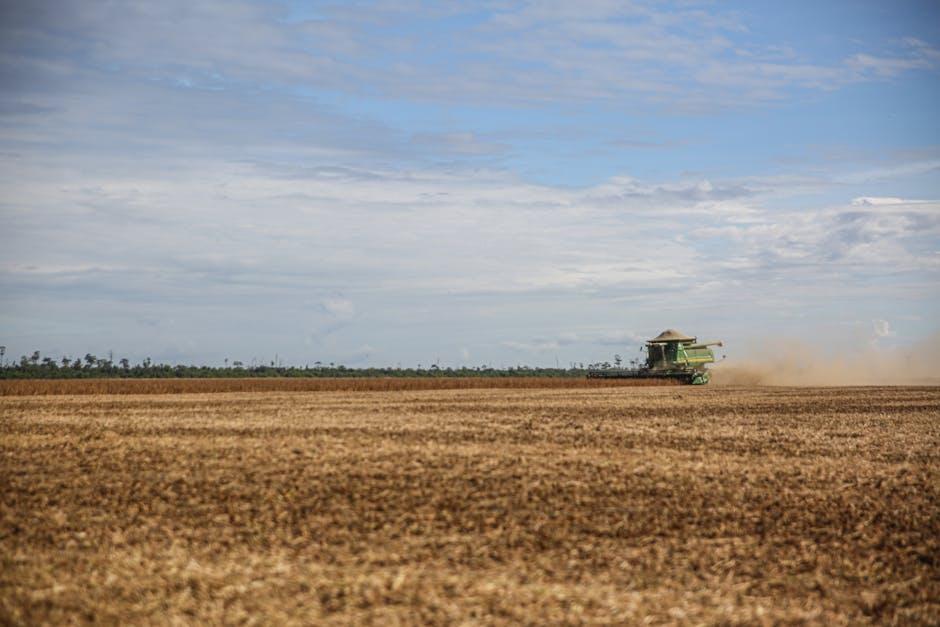 Aprende a usar tu cerebro como una máquina de resolución de problemas